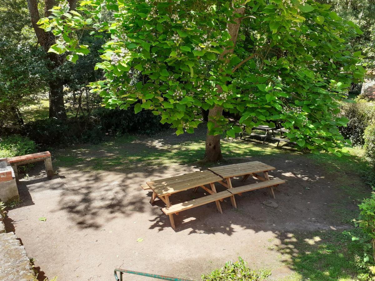 Village De Gites Du Moulin Neuf Getigne エクステリア 写真